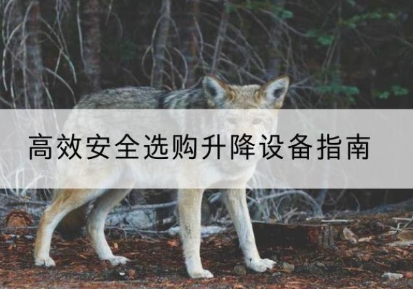 青龙升降货梯厂家推荐-*安全选购升降设备指南