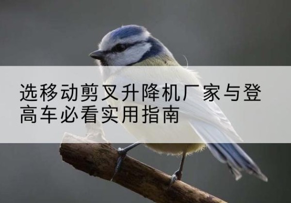 青龙电动升降机厂家-选移动剪叉升降机厂家与登高车必看实用指南